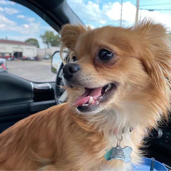 Meet your Posher, Melissa - Picture 12 of 16